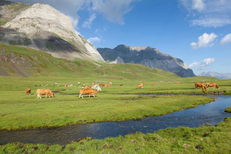 Aide région Occitanie : optimisez votre entreprise investissement